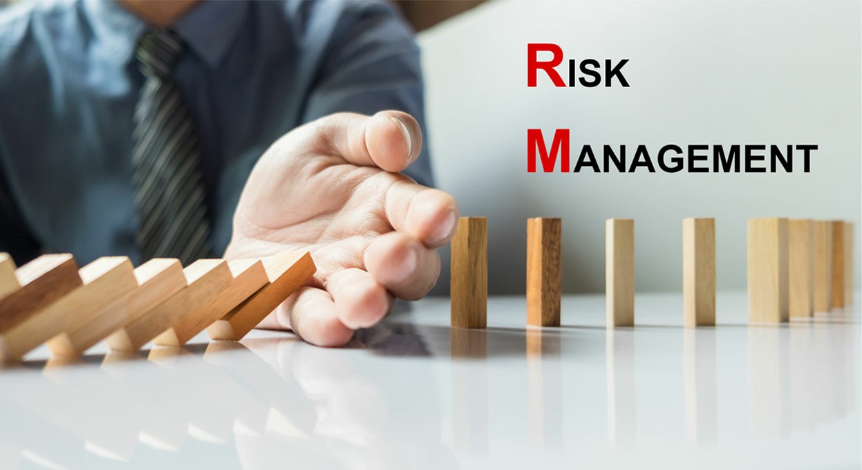 Risk Management in Public Health Procurement and Supply Chains